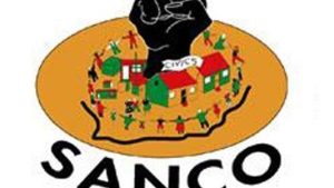 WhatsApp Image 2026-02-07 at 11.14.08